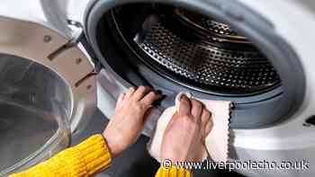 Washing machines will be cleaner after 1 wash cycle when you pour in 1 simple item