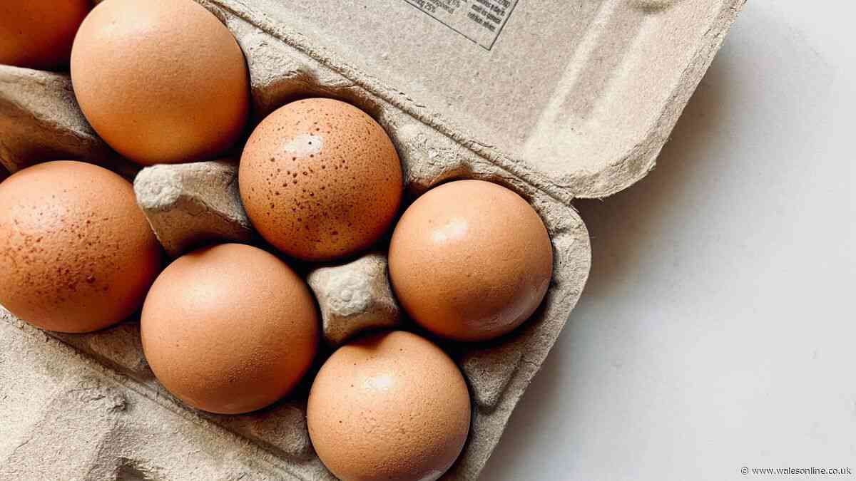 Key differences between organic and free-range eggs explained