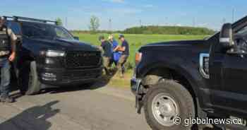Kangaroo captured after delicate operation, Quebec officials say