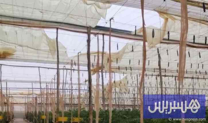 فلاحون يتساءلون عن "جبر أضرار"
