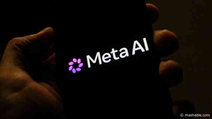 Meta uses your public Facebook posts for AI search