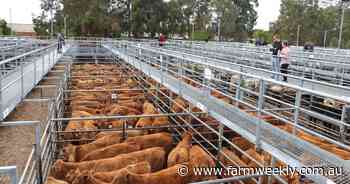 WALSA says the Boyanup saleyards is at risk without essential fee increase