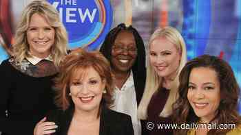 Meghan McCain trashes former co-stars on The View over 'undisciplined' JD Vance interview