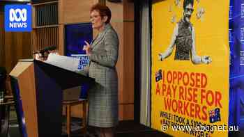 Live: Activist group claims credit for banner stunt at Pauline Hanson's Press Club address