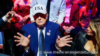 Epstein wollte sich Vorteil verschaffen – mit Aussagen vor der Justiz gegen Trump