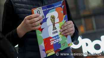 Panini World Cup deal has 112 stickers at 4p each as Argos and Sports Direct sell out