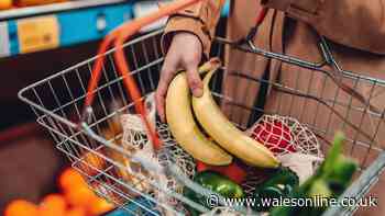 £207 warning for anyone who buys food as rises to last into 2028