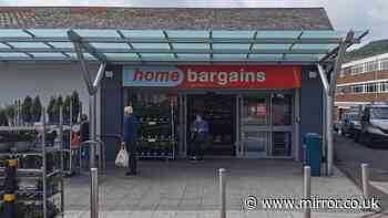 'Give hair some shine' with Home Bargains £18 shampoo reduced to £2 in 250ml deal