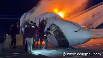 One killed in fiery plane crash on Texas highway as footage shows first responders' desperate rescue attempt