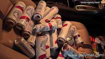 Mountain of THIRTY-FOUR open White Claw cans found on drunk driver's passenger seat, cops say