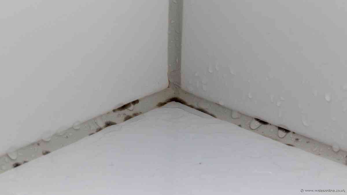 Remove black mould from silicone sealant with 65p natural item