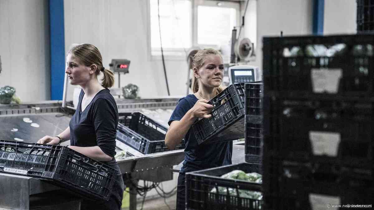 Bijna kwart miljoen jongeren wil meer uren werken
