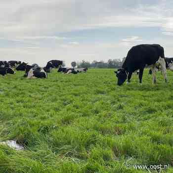 Stikstofplannen 'niet uitlegbaar en niet uitvoerbaar', boeren en provincie geschrokken