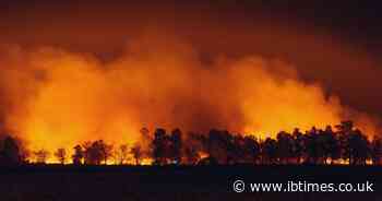 Evacuations Ordered As 30-Acre Brush Fire Threatens Homes And Forces Power Shutdowns in Sparks, Nevada