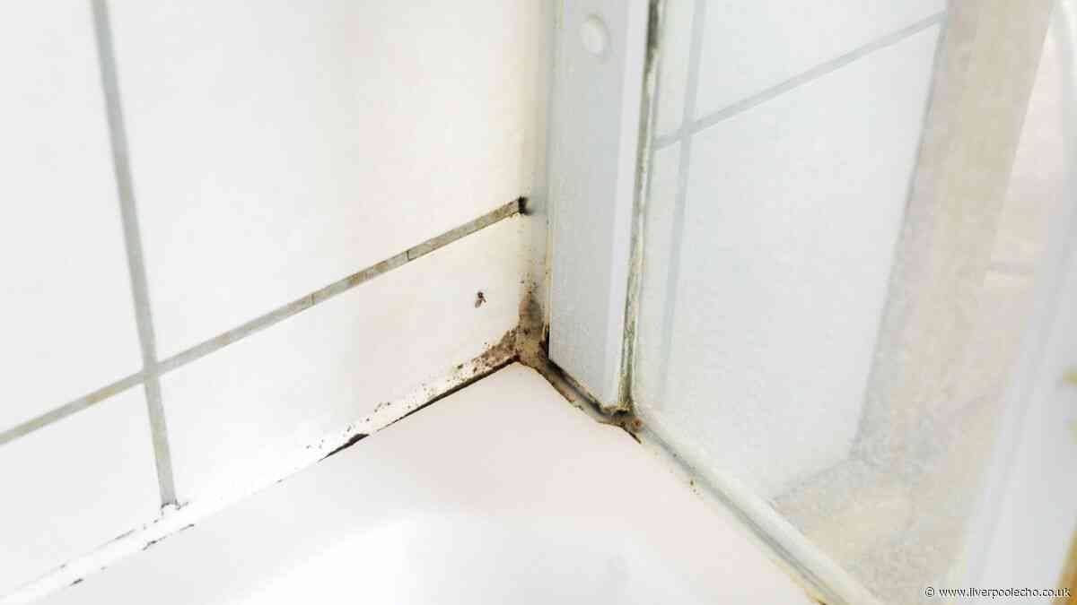 Remove mould easily from silicone sealant with 65p kitchen staple