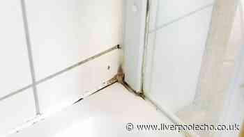 Remove mould easily from silicone sealant with 65p kitchen staple