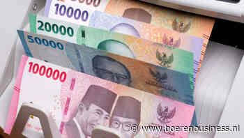 Economie Indonesië groeit, maar munt gaat onderuit