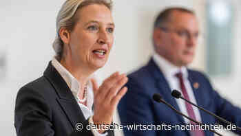AfD baut Vorsprung aus: CDU/CSU und SPD historisch niedrig