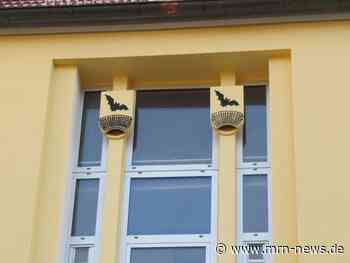 Heidelberg – Vogelnester und Fledermausquartiere bei Gebäudesanierung und -reinigung erhalten