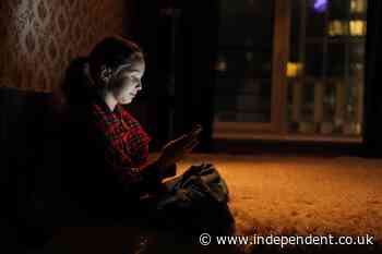 Social media ban for children ‘no silver bullet’, minister says