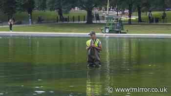 Donald Trump's bizarre 24 hours as workers scramble to clean swamp green reflecting pool with bleach