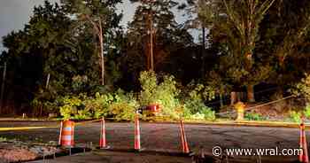 Tree brings down powerlines, closing part of Western Boulevard in Raleigh