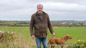 'Jeremy Clarkson found cancer diagnosis early - but for lots of men it's sadly too late'