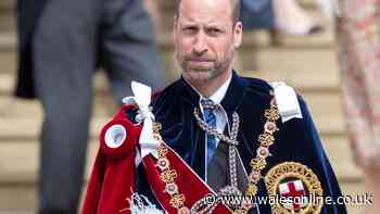 'I attended school with Prince William - pupils teased him with harsh comment'