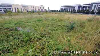 Prime central location earmarked for new Welsh-medium Cardiff secondary school