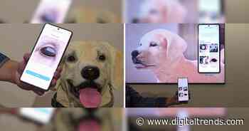 Samsung’s pet tech only needs a picture to detect health issues hurting your furry friends