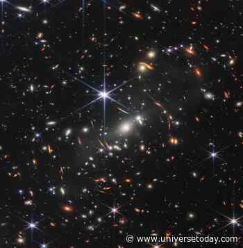 Why Consciousness Might Not Belong to Us Alone