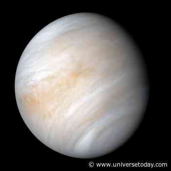 Venus’ Strange Rotation Was Likely Triggered By A High Velocity Moon-Sized Impactor