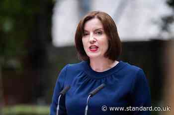 Government to apologise on behalf of the state for historical forced adoption