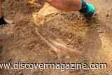 Iron Age Celtic Grave Reveals Gold, Weapons, and a Two-Wheeled Chariot