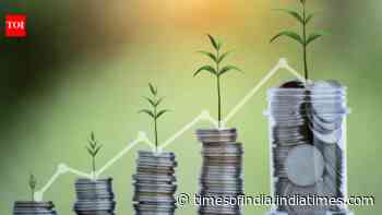 MFI portfolio shrinks 17% in FY24, shows signs of stabilization in Q4