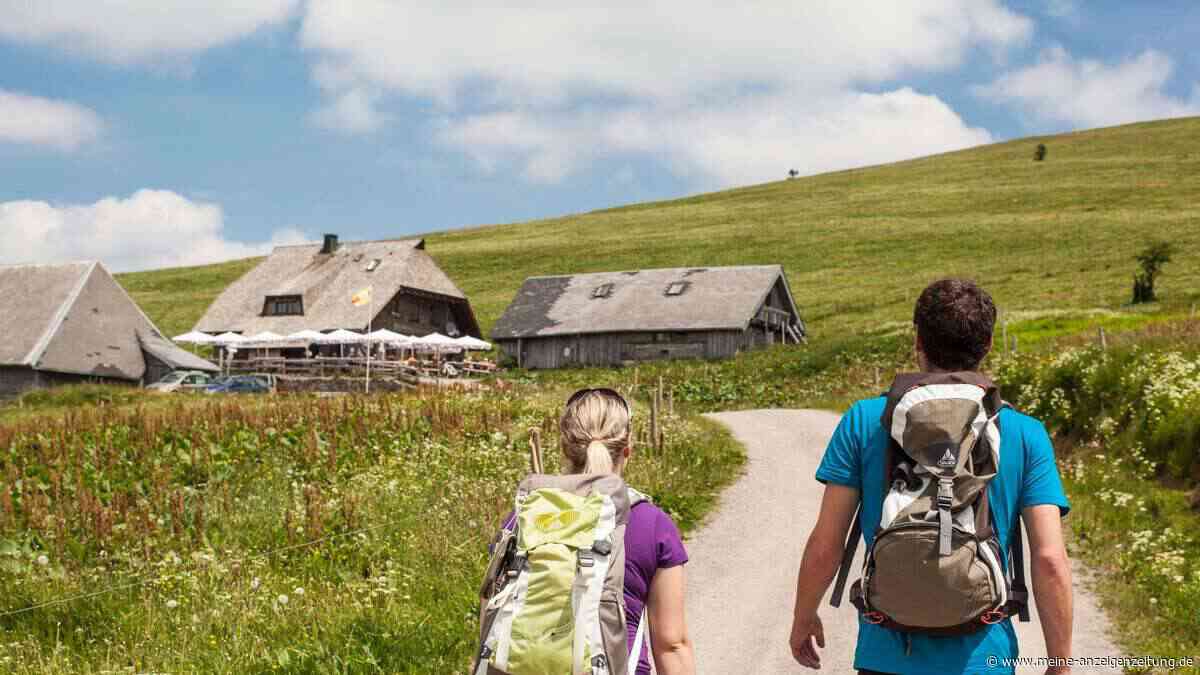 Diese beiden Touren aus Baden-Württemberg gehören zu den nominierten schönsten Wanderwegen Deutschlands