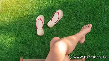 Anyone with artificial grass issued warning during heatwave this week
