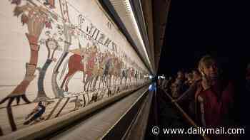 Furious British Museum supporters vow to rip up their memberships after being forced to wait online for hours in failed bids for Bayeux Tapestry tickets