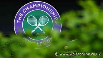Iconic BBC commentator quits Wimbledon after 23 years as statement released