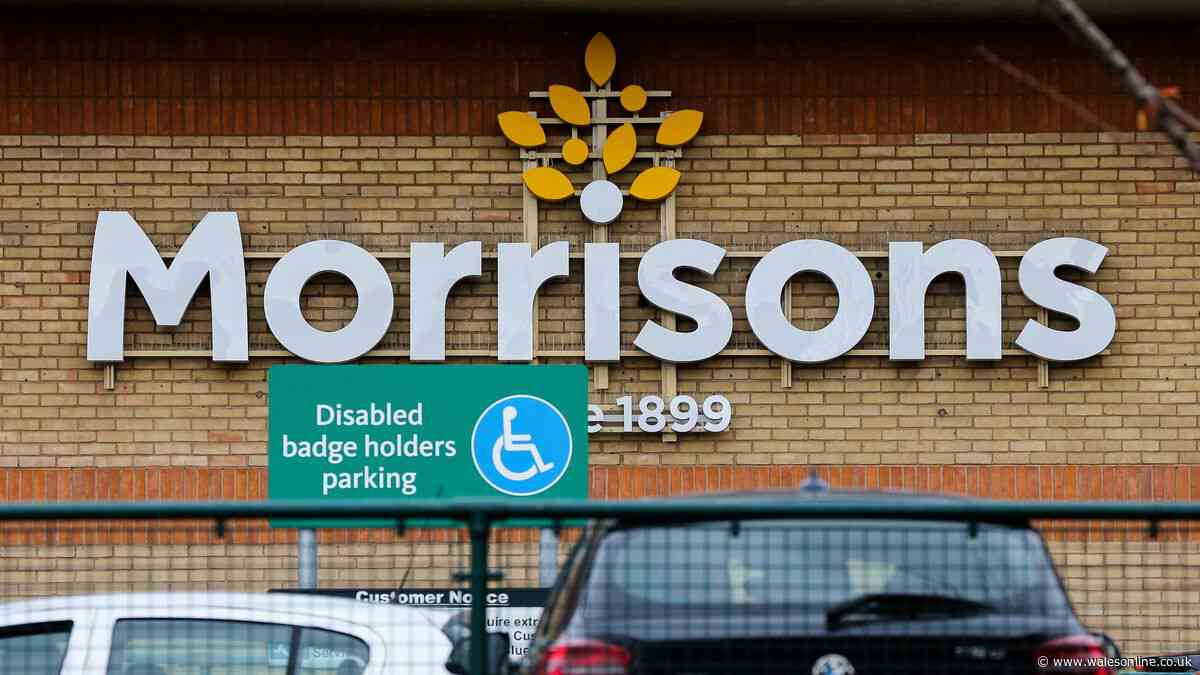 Huge £80 Morrisons chocolate hits shelves as shoppers say 'you'd have to be stupid'