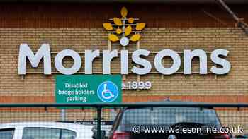Huge £80 Morrisons chocolate hits shelves as shoppers say 'you'd have to be stupid'