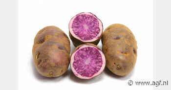 Tekort plantmateriaal remt groei paarse yam-export op Filipijnen