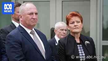 One Nation prepared to cut worker entitlements to shore up struggling small businesses