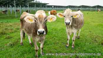 Dießener Bauausschuss bremst bei geplanter Agri-PV in Rieden
