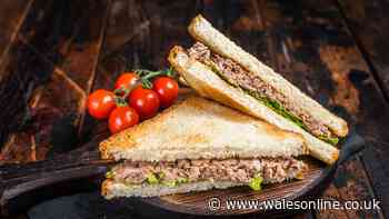 Tuna sandwiches will be healthy and crunchy if you mix 1 ingredient with mayonnaise