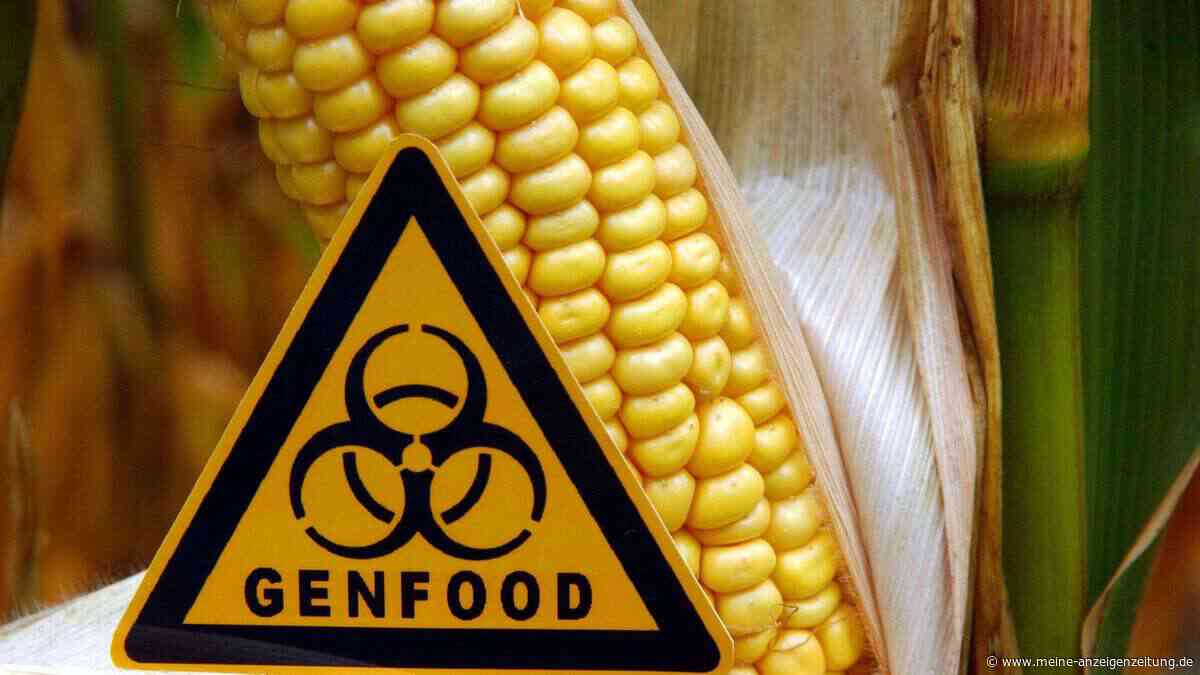 Gentechnik im Supermarkt: EU schwächt Regeln ab