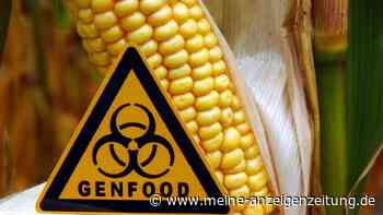 Gentechnik im Supermarkt: EU schwächt Regeln ab