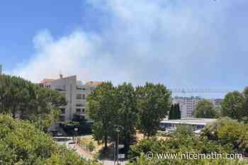 Un incendie se déclare dans le massif de la Croix-des-Gardes à Cannes