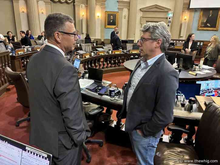 Kingston to keep exploring municipal services corporation as it grapples with debt
