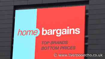 Home Bargains £2.49 shower oil 'leaves skin so soft' just like popular £43 alternative